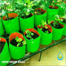 ग्रो बैग में छत पर खेती (Terrace Farming in Grow Bags) – बीज बोने से कटाई तक पूरी जानकारी