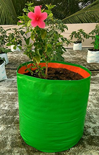 Premium HDPE Uv Protected 260 GSM Round Shaped Green Colour Plants Grow Bags Suitable for Terrace and Vegetable Gardening 12x12 Inch Pack of 10 Grow Bags