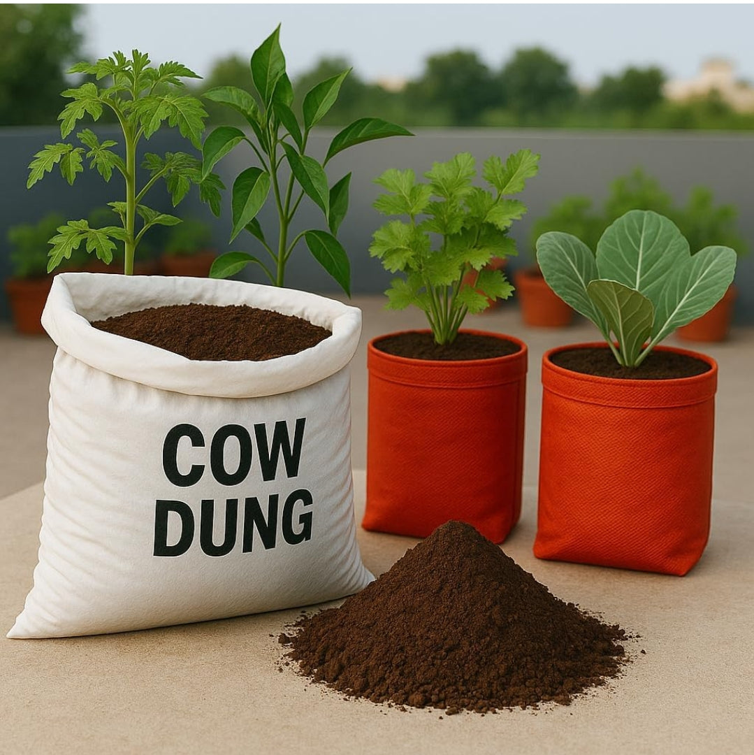 Organic Cow Dung Fertilizer for Indoor and Outdoor Plants, Natural Garden Manure