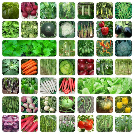 Vegetables Seeds Combo Pack of 10
